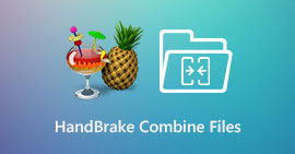 HandBrake Combine Files