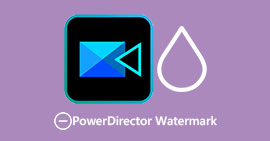 PowerDirector Watermark