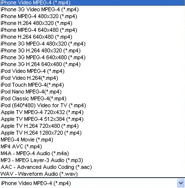 Convert DVD moive to iPhone - output