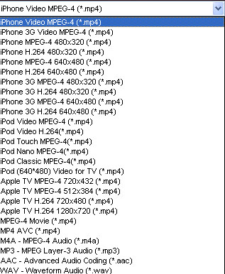 iPhone Movie Converter - output