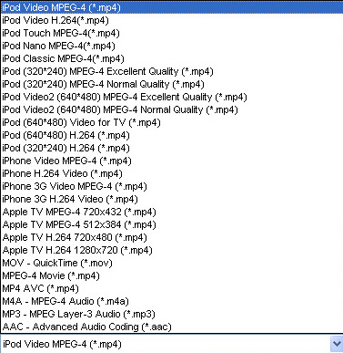 copy DVD to iPod output