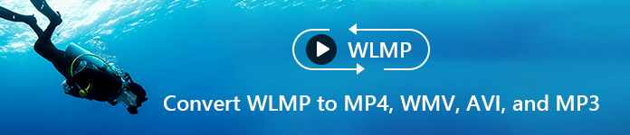 Convert WLMP to MP4