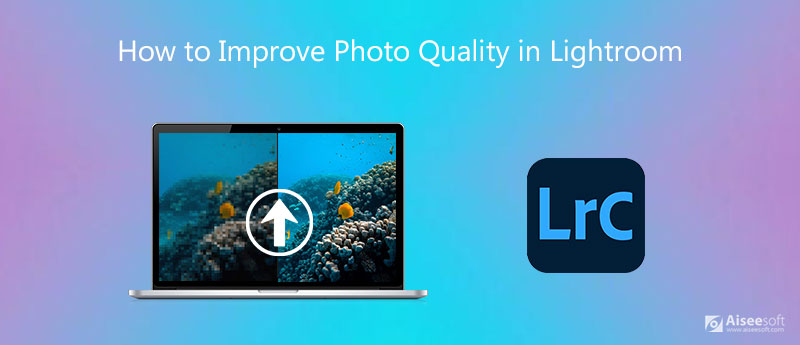 How to Improve Photo Quality in Lightroom