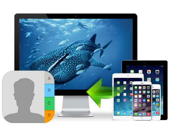 new-transfer-contacts.jpg