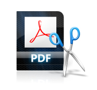 PDF settings
