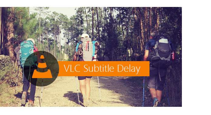 VLC Subtitle Delay