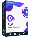 FLV Video Converter