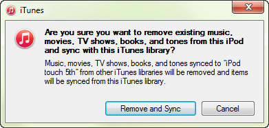 Sync with your iTunes library