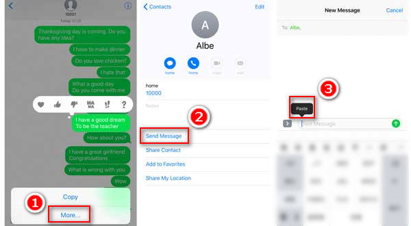 Copy and Paste Text Messages on iPhone