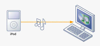 iPod Rip to Computer