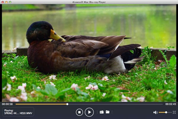 Add AVI files to the Video Player