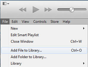 Add File to Library
