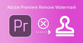 Adobe Premiere Remove Watermark