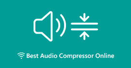 Best Auido Compressor Online