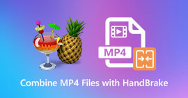Combine MP4 Files HandBrake
