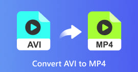 How to Converter AVI to MP4