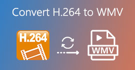 Convert H.264 to WMV