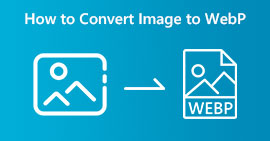 Convert Images to WebP