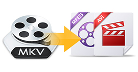 Convert MKV to AVI and MPEG