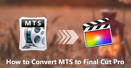 Convert MTS Files to Final Cut Pro
