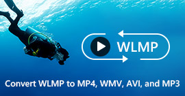 How to Convert WLMP