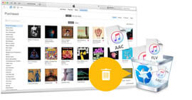 Delete Music from iTunes