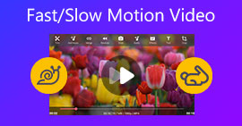 Fast/Slow Motion Video