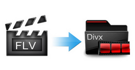 How to Convert FLV to DivX