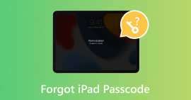 Forget iPad Passcode