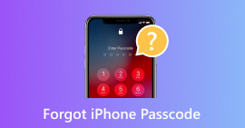 Forget iPhone Passcode