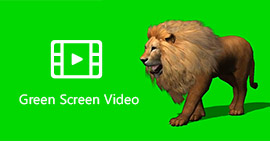 Green Screen Video