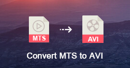 Convert MTS to AVI