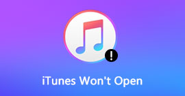 iTunes Won't Open