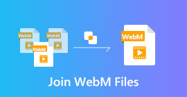 Combine WebM Videos