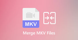 Combine MKV Files