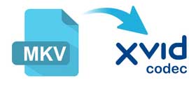 How to Convert MKV to Xvid
