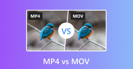 The Comparison between MP4 and MOV