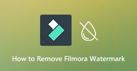 Remove Filmora Watermark from Video