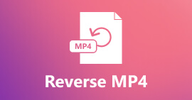 Reverse an MP4 Video
