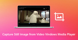 Screenshot in Windows Media Player