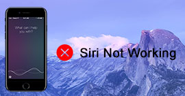Fix Siri Not Working