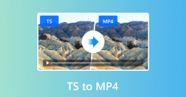 How to Convert TS to MP4