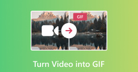 Turn Video into GIF