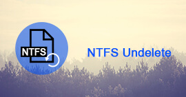 NTFS Undelete Guide and Recovery Tools Review