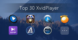 Play Xvid Movie with the Best Xvid Player