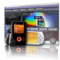 Key Functions of Aiseesoft DVD to MP4 Converter