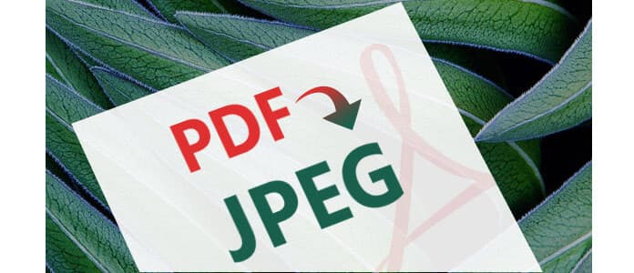 PDF to JPEG