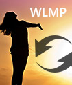 Convert WLMP to WMV, MP4, AVI, MOV, FLV, MP3, etc.