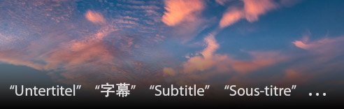 Subtitles in Different Language