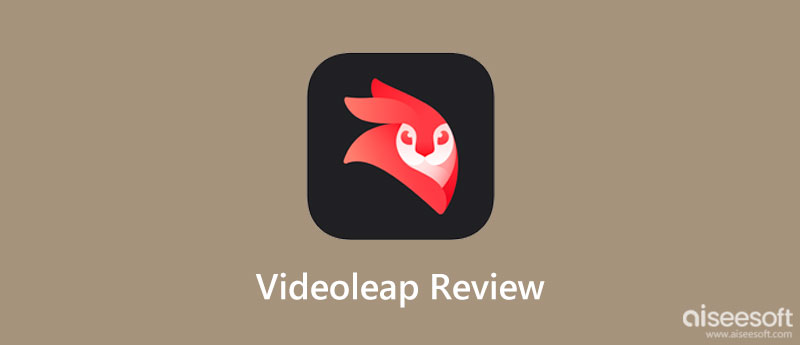Videoleap Review